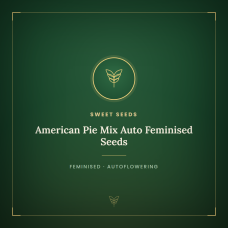 American Pie Mix Auto Feminised Seeds American Pie Mix Auto Feminised Seeds