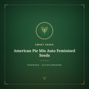 American Pie Mix Auto Feminised Seeds American Pie Mix Auto Feminised Seeds