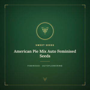 American Pie Mix Auto Feminised Seeds American Pie Mix Auto Feminised Seeds