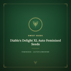 Diablo's Delight XL Auto Feminised Seeds Diablo's Delight XL Auto Feminised Seeds