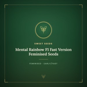 Mental Rainbow F1 Fast Version Feminised Seeds Mental Rainbow F1 Fast Version Feminised Seeds