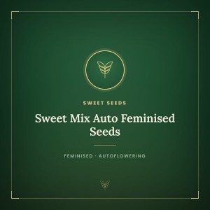 Sweet Mix Auto Feminised Seeds Sweet Mix Auto Feminised Seeds