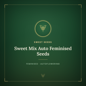 Sweet Mix Auto Feminised Seeds Sweet Mix Auto Feminised Seeds