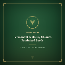 Permanent Jealousy XL Auto Feminised Seeds Permanent Jealousy XL Auto Feminised Seeds