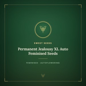 Permanent Jealousy XL Auto Feminised Seeds