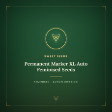 Permanent Marker XL Auto Feminised Seeds Permanent Marker XL Auto Feminised Seeds