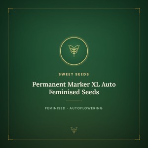 Permanent Marker XL Auto Feminised Seeds