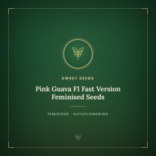 Pink Guava F1 Fast Version Feminised Seeds Pink Guava F1 Fast Version Feminised Seeds