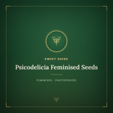 Psicodelicia Feminised Seeds Psicodelicia Feminised Seeds