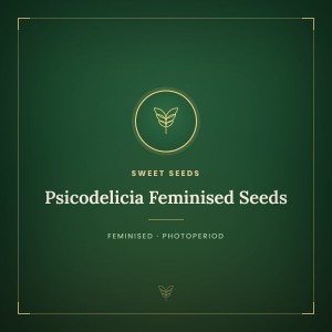 Psicodelicia Feminised Seeds Psicodelicia Feminised Seeds