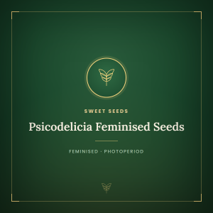 Psicodelicia Feminised Seeds Psicodelicia Feminised Seeds