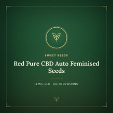 Red Pure CBD Auto Feminised Seeds Red Pure CBD Auto Feminised Seeds