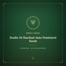 Studio 54 Stardust Auto Feminised Seeds Studio 54 Stardust Auto Feminised Seeds