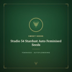 Studio 54 Stardust Auto Feminised Seeds