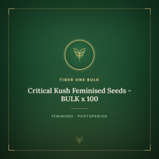 Critical Kush Feminised Seeds - BULK x 100 Critical Kush Feminised Seeds - BULK x 100