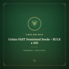 Gelato FAST Feminised Seeds - BULK x 100 Gelato FAST Feminised Seeds - BULK x 100