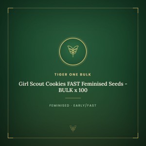 Girl Scout Cookies FAST Feminised Seeds - BULK x 100 Girl Scout Cookies FAST Feminised Seeds - BULK x 100