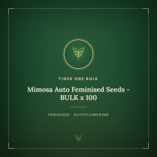 Mimosa Auto Feminised Seeds - BULK x 100 Mimosa Auto Feminised Seeds - BULK x 100
