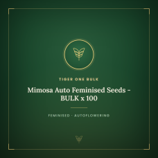 Mimosa Auto Feminised Seeds - BULK x 100 Mimosa Auto Feminised Seeds - BULK x 100
