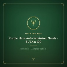 Purple Haze Auto Feminised Seeds - BULK x 100 Purple Haze Auto Feminised Seeds - BULK x 100