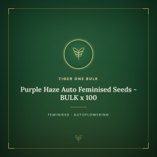 Purple Haze Auto Feminised Seeds - BULK x 100 Purple Haze Auto Feminised Seeds - BULK x 100