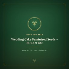 Wedding Cake Feminised Seeds - BULK x 100 Wedding Cake Feminised Seeds - BULK x 100