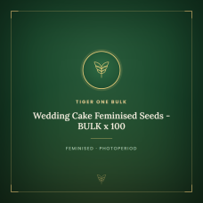 Wedding Cake Feminised Seeds - BULK x 100 Wedding Cake Feminised Seeds - BULK x 100