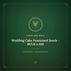 Wedding Cake Feminised Seeds - BULK x 100 Wedding Cake Feminised Seeds - BULK x 100