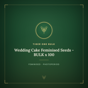 Wedding Cake Feminised Seeds - BULK x 100 Wedding Cake Feminised Seeds - BULK x 100