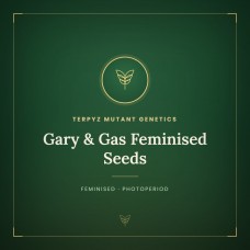 Gary & Gas Feminised Seeds Gary & Gas Feminised Seeds