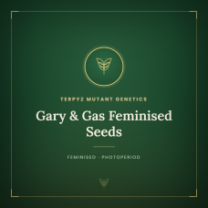 Gary & Gas Feminised Seeds Gary & Gas Feminised Seeds