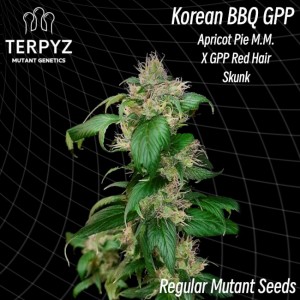 Korean BBQ GPP Regular Seeds Korean BBQ GPP Regular Seeds
