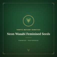 Neon Wasabi Feminised Seeds