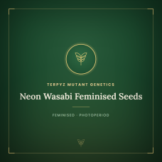 Neon Wasabi Feminised Seeds Neon Wasabi Feminised Seeds