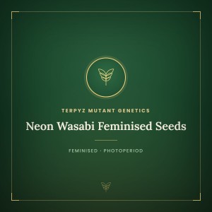 Neon Wasabi Feminised Seeds