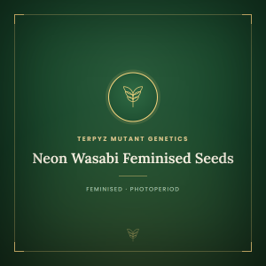 Neon Wasabi Feminised Seeds Neon Wasabi Feminised Seeds