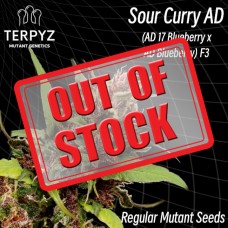 Sour Curry AD Regular Seeds