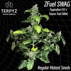 Zfuel Swag Regular Seeds Zfuel Swag Regular Seeds