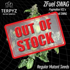 Zfuel Swag Regular Seeds
