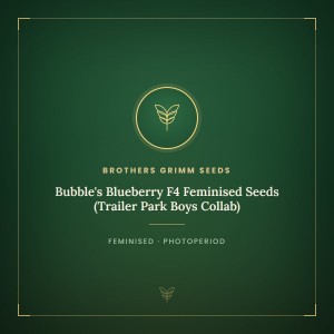 Bubble's Blueberry F4 Feminised Seeds (Trailer Park Boys Collab)