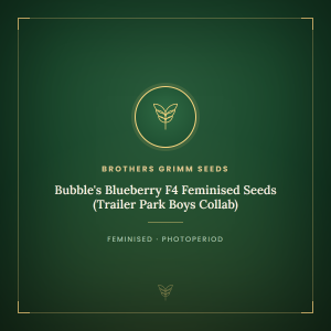 Bubble's Blueberry F4 Feminised Seeds (Trailer Park Boys Collab) Bubble's Blueberry F4 Feminised Seeds (Trailer Park Boys Collab)