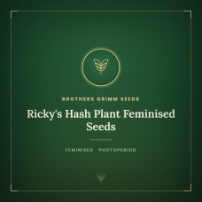 Ricky's Hash Plant Feminised Seeds Ricky's Hash Plant Feminised Seeds