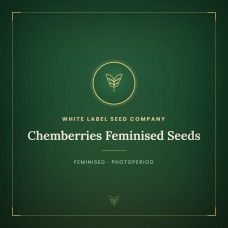 Chemberries Feminised Seeds Chemberries Feminised Seeds
