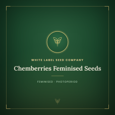 Chemberries Feminised Seeds Chemberries Feminised Seeds
