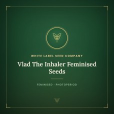Vlad The Inhaler Feminised Seeds Vlad The Inhaler Feminised Seeds