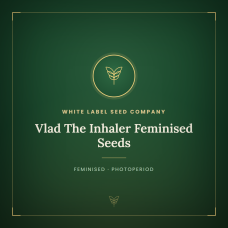 Vlad The Inhaler Feminised Seeds Vlad The Inhaler Feminised Seeds