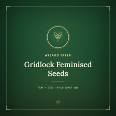 Gridlock Feminised Seeds Gridlock Feminised Seeds