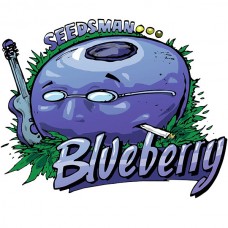 Blueberry Feminised Seeds Blueberry Feminised Seeds