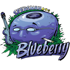 Blueberry Feminised Seeds Blueberry Feminised Seeds