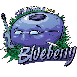 Blueberry Feminised Seeds